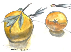 orange series 2a better